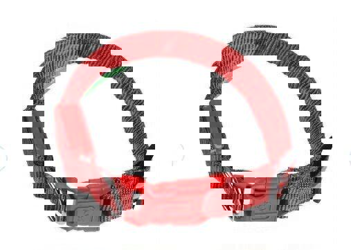 LED Adjustable Dog Collar- 5 Sizes 7 Colors  Blinking Flashing/Solid