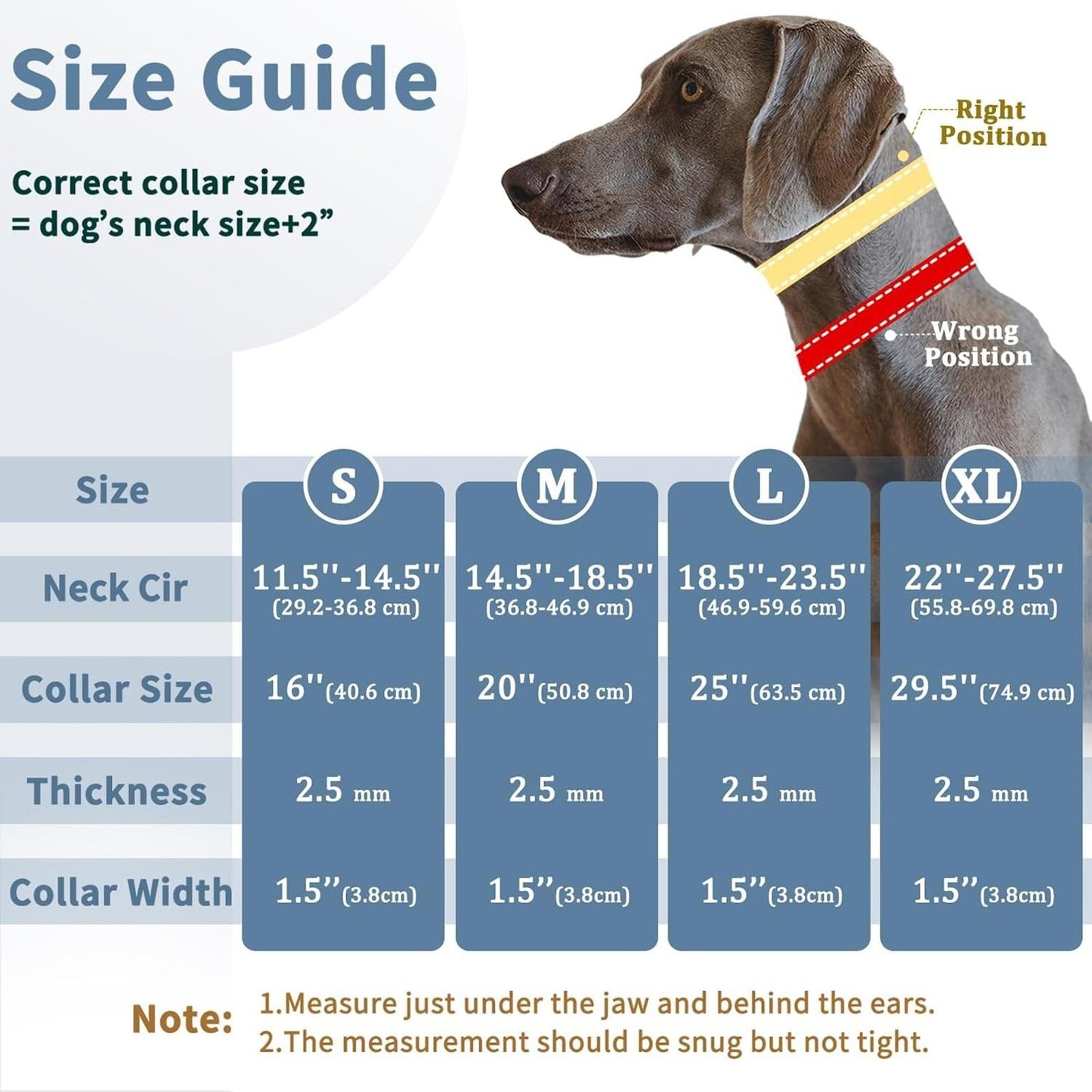 Leather Studded  Martingale Training Collar  Large Dogs