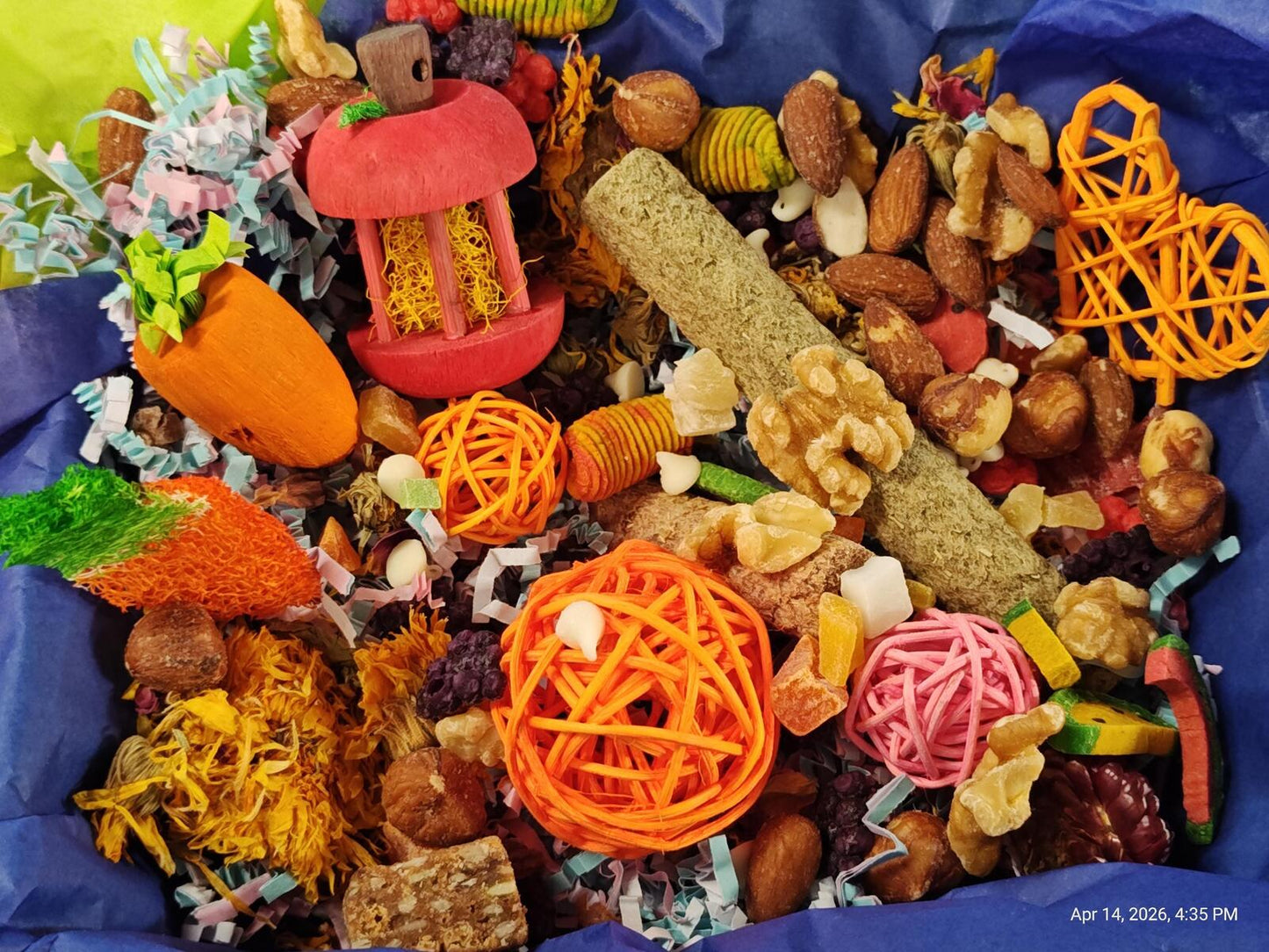 Assorted pet toys including carrots, balls, and other items on a blue background