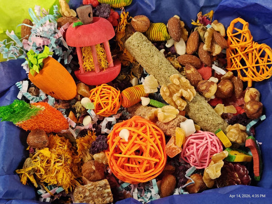 Assorted pet toys including carrots, balls, and other items on a blue background