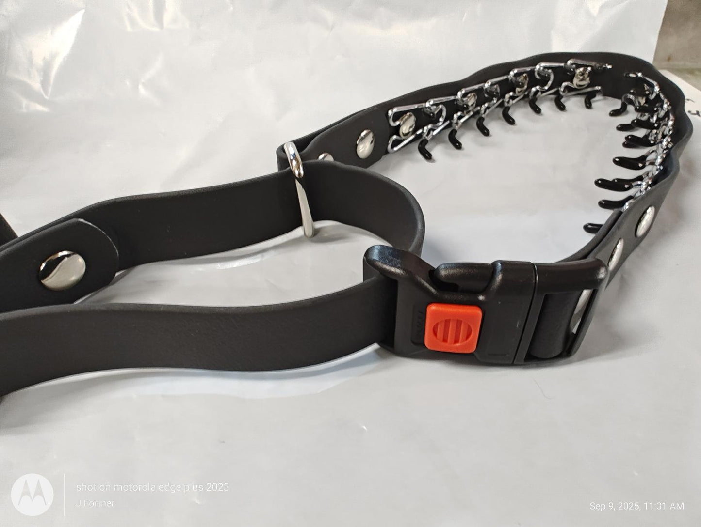 Leather Studded  Martingale Training Collar  Large Dogs