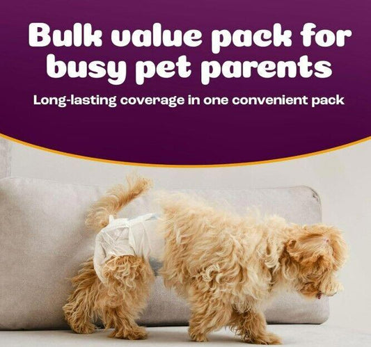 Disposable dog Diapers and Male Wraps 24 count Brand New Choose size/Type