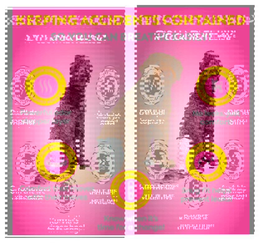 OUT! Petcare 32 Pack Disposable Dog Diapers for Female Dogs Dog Heat Diapers M/L