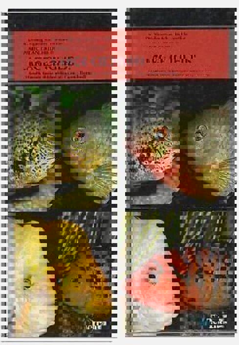 Large Cichlids : American Cichlids 2: A Handbook for Their Identification, Care