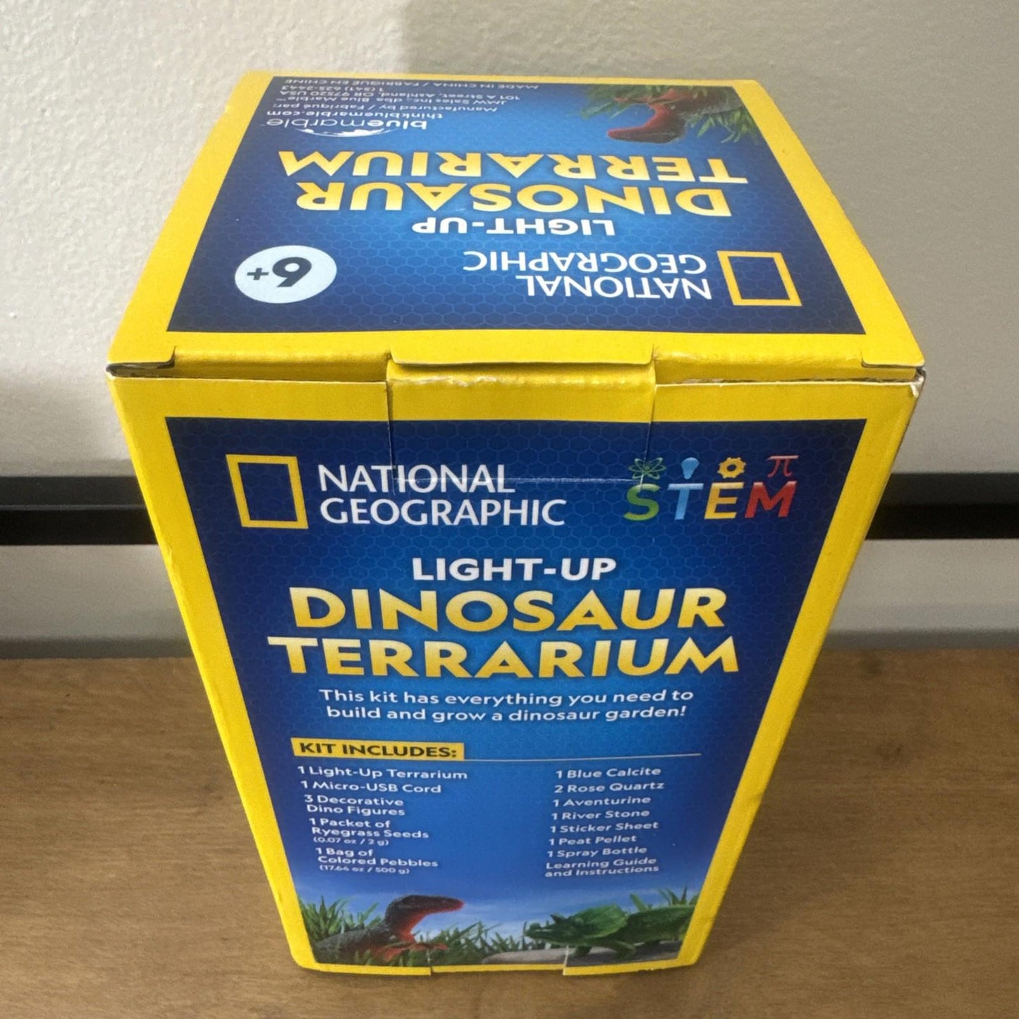 Dinosaur Terrarium Kit for – Multicolor Light Up Terrarium
