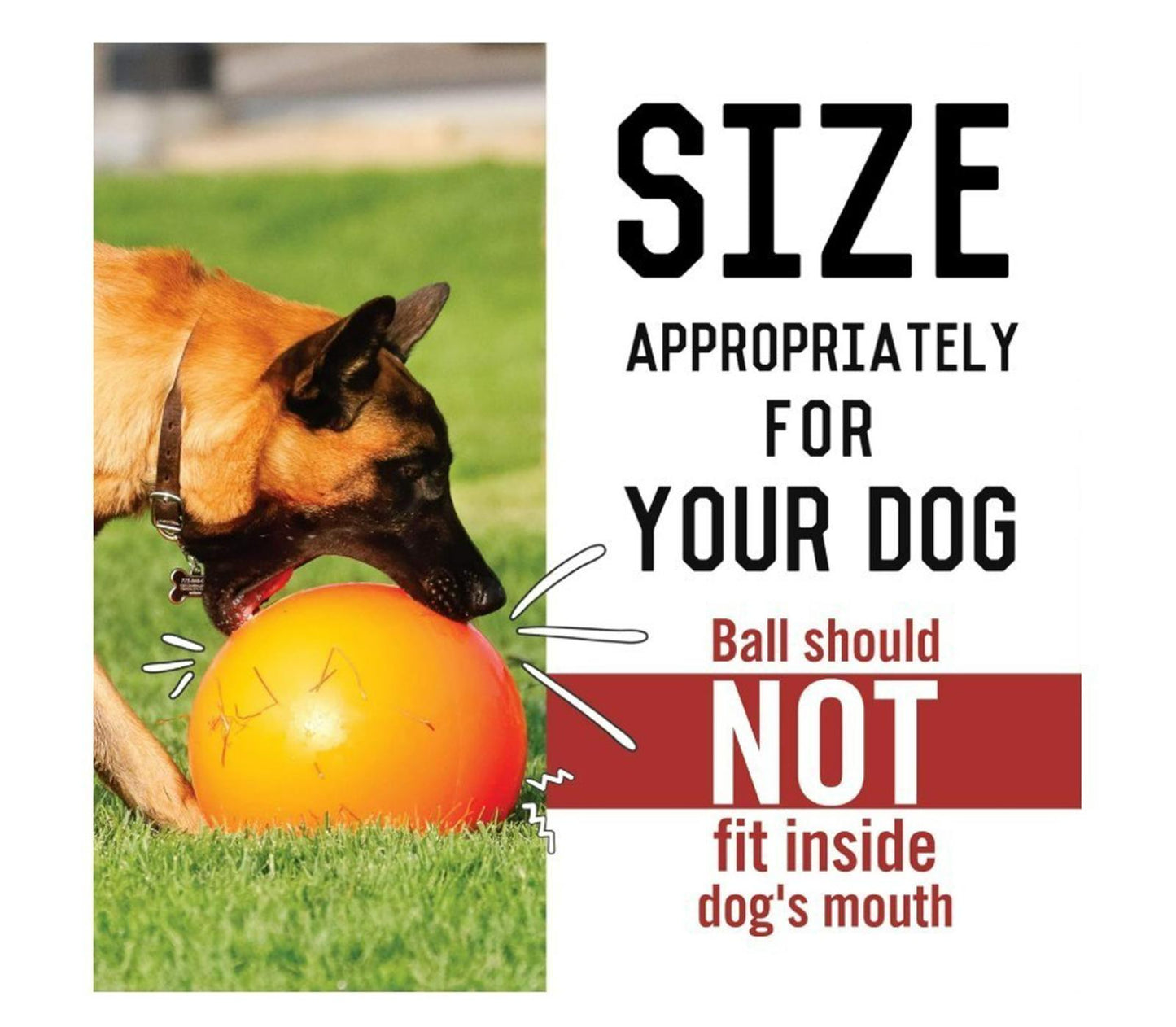 Virtually Indestructible Best Ball for Dogs, 10-inch Orange