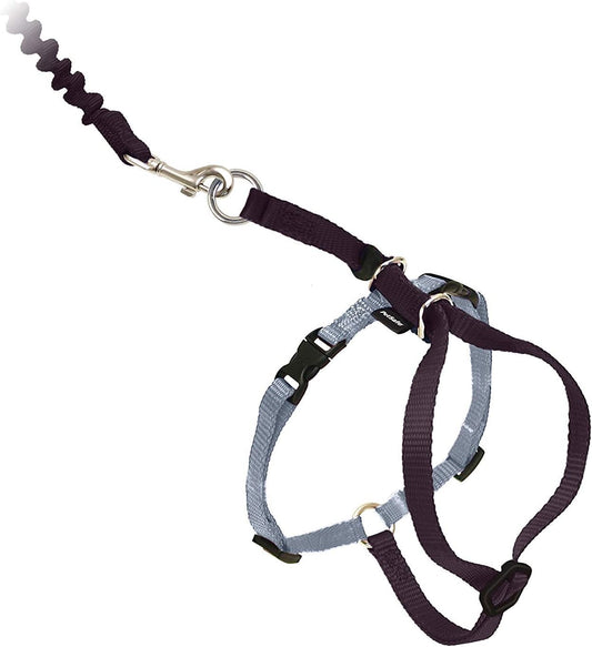 Come With Me Kitty Cat Harness & Bungee Leash Small Black