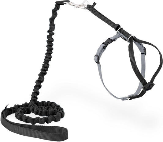 Come With Me Kitty Cat Harness & Bungee Leash Large Black