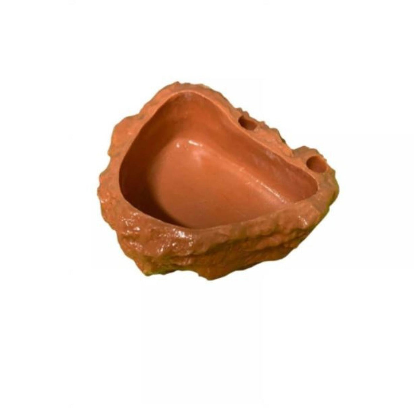 Heavyweight reptile dishes great for Crested Geckos , Tarantulas etc