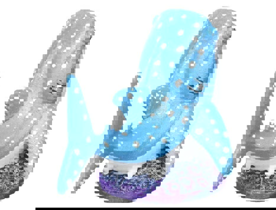 Penn Plax 64683 Finding Dory Destiny with Coral