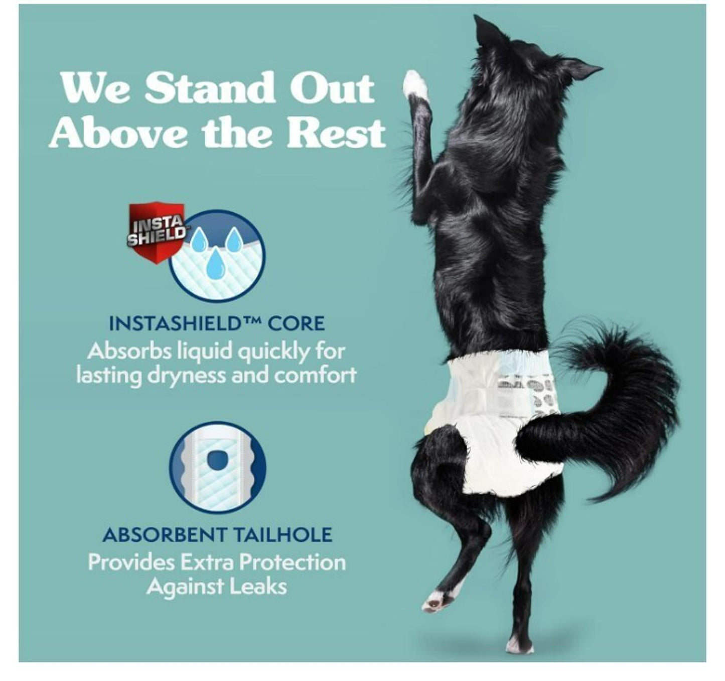 Disposable Dog Diapers for Female Dogs, True Fit, Absorbent 18-27 Inch, 30 Ct LG