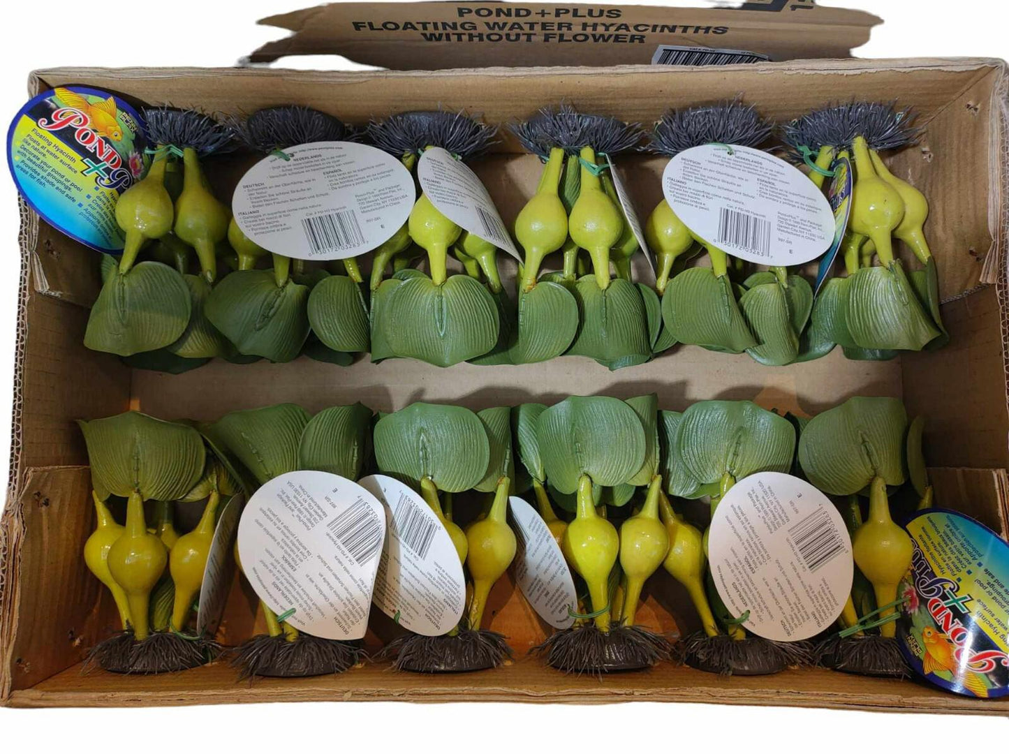 Floating Water Hyacinths Lot of 12 Penn Plax