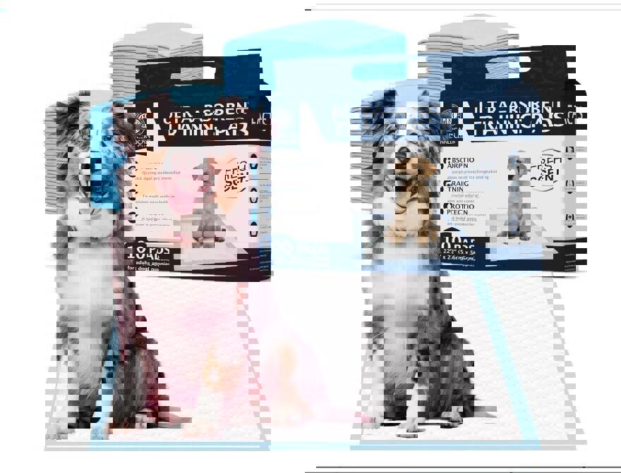 Scented Puppy Training Pads with Ultra Absorbent Quick Dry Gel – 22 x 22 Pee ...