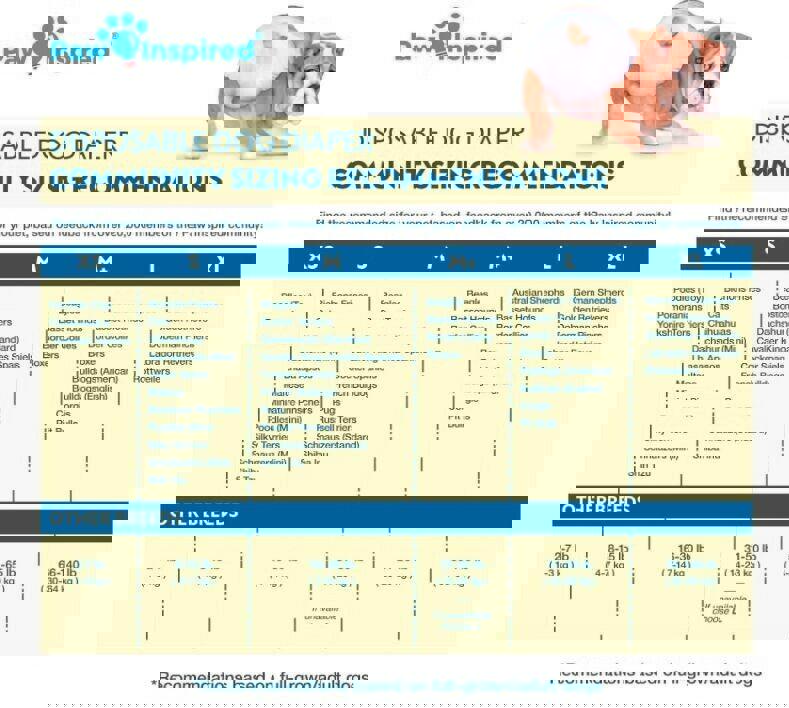 Paw Inspired Disposable Dog Diapers | Female Dog Diapers Ultra Protection | SMAL