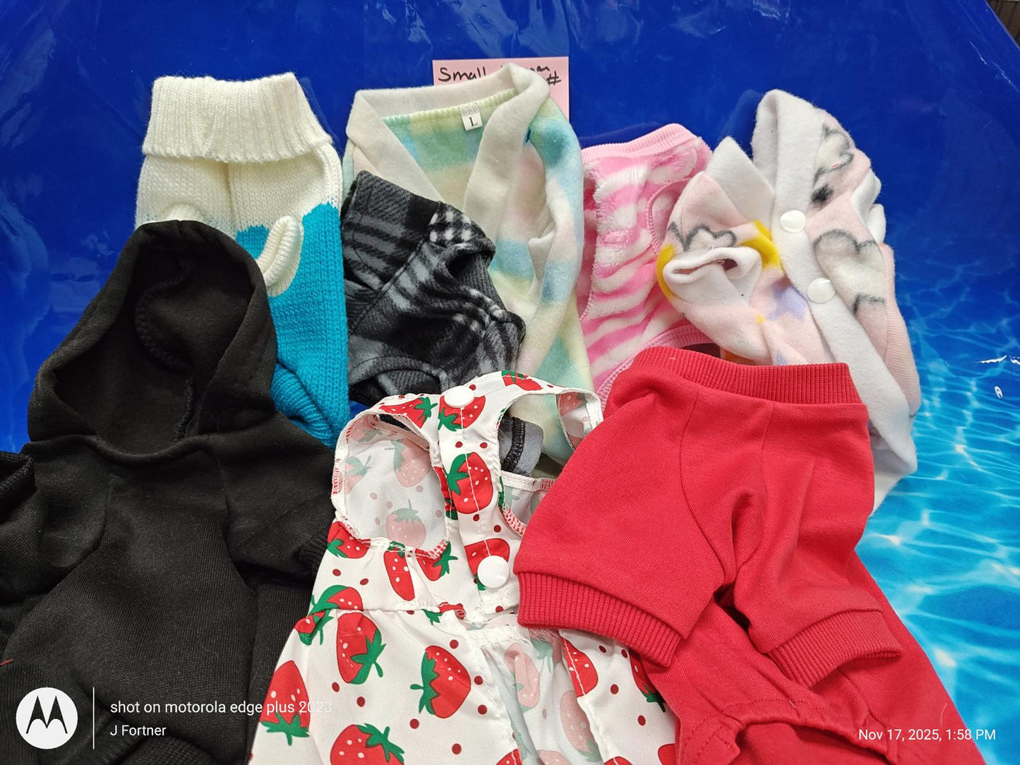 Dog Outfit Bundle ( Small 5 to 8 Pound Pets ) Brand New Save with a Bundle