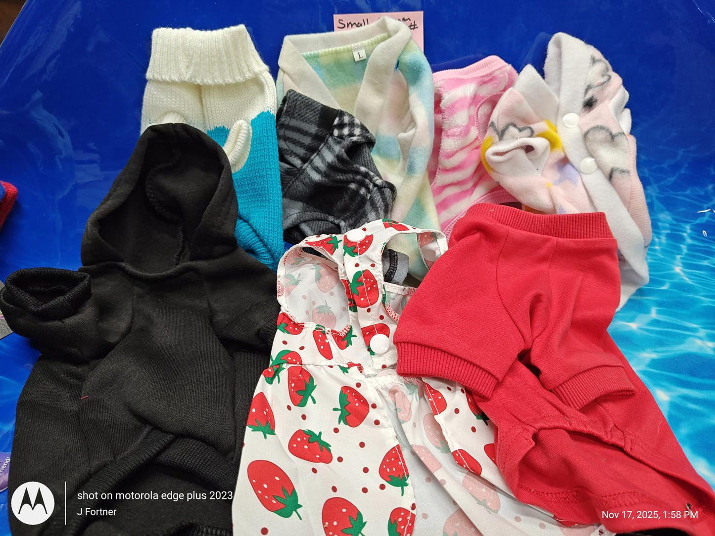 Dog Outfit Bundle ( Small 5 to 8 Pound Pets ) Brand New Save with a Bundle