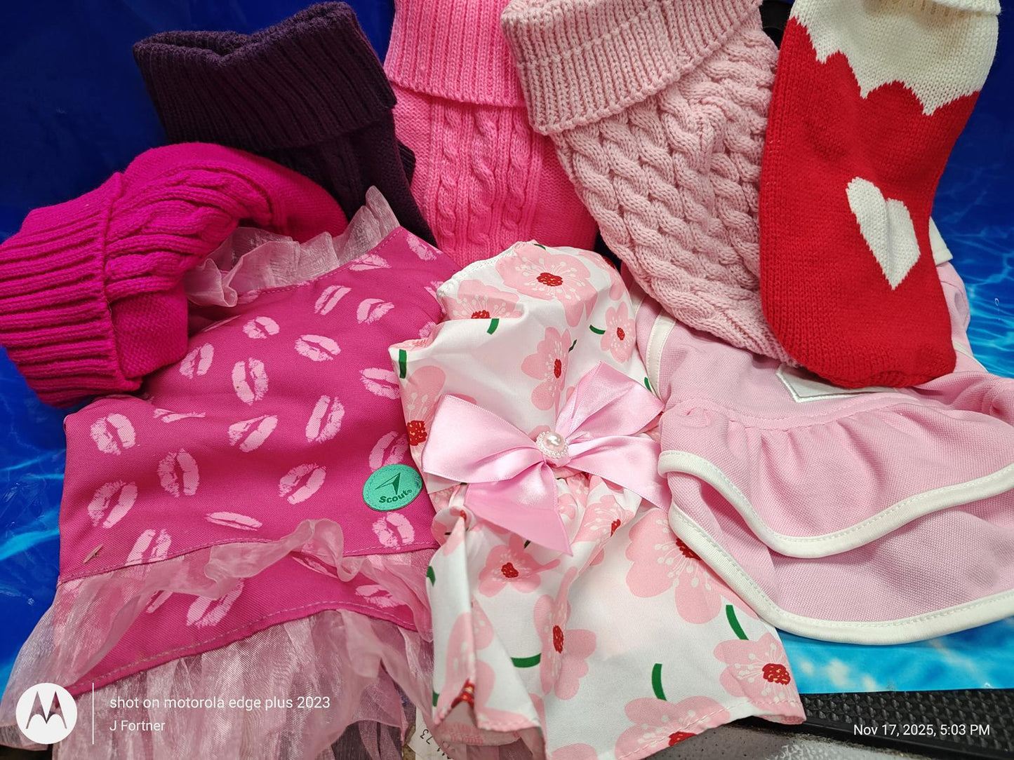Dog Outfit Bundle ( Small 6 to 8 Pound Pets ) Brand New Save with a Bundle