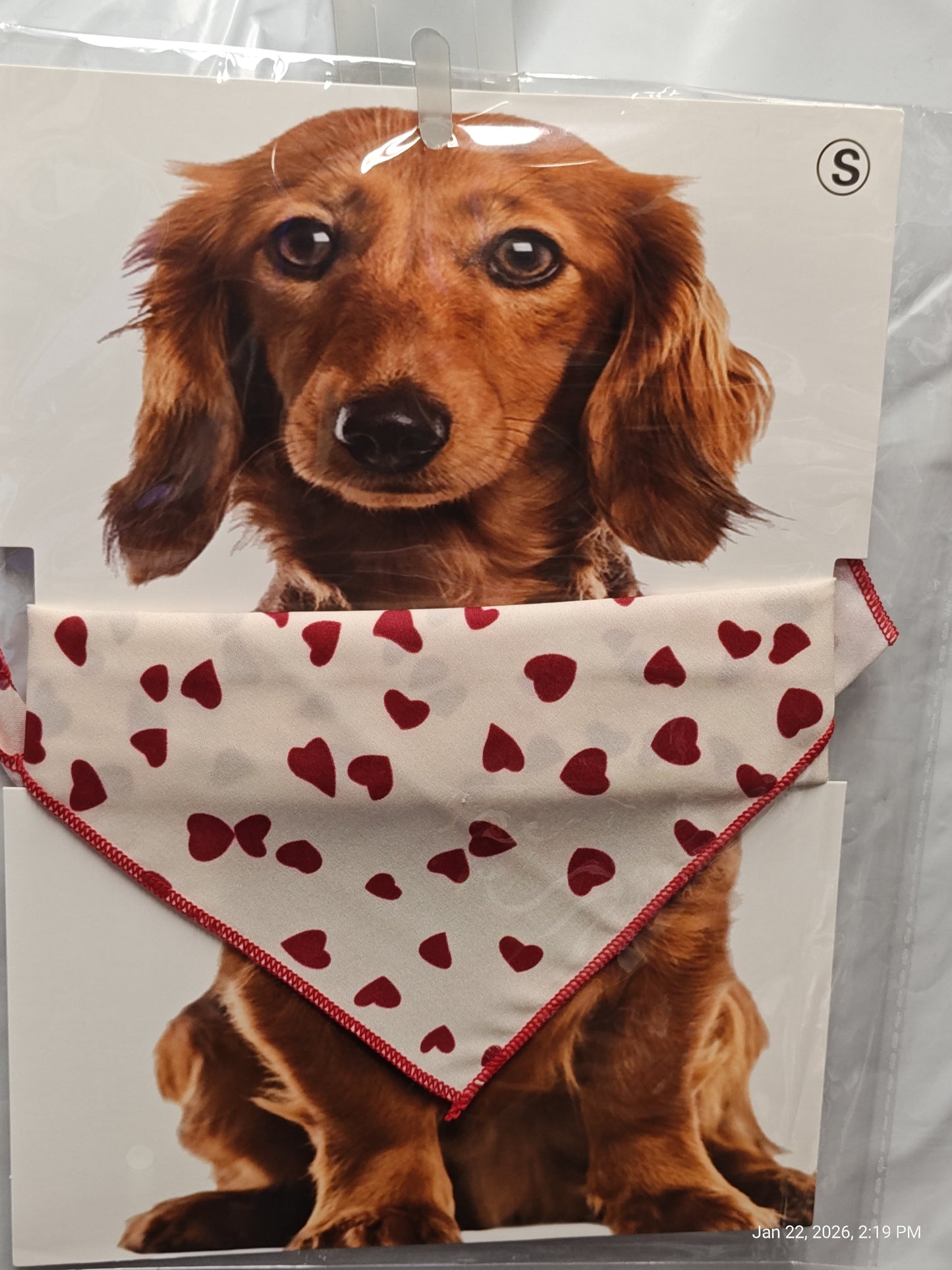 Dog Bandannas Small