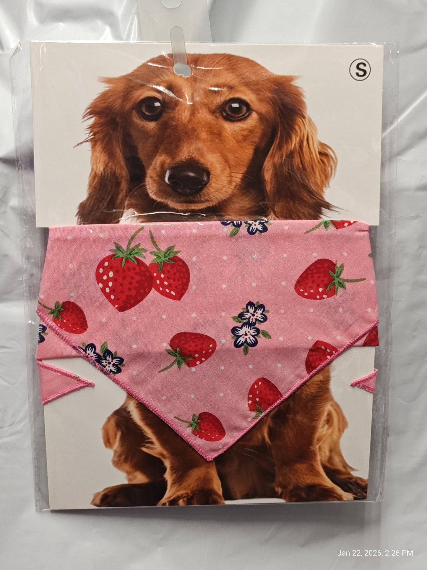 Dog Bandannas Small