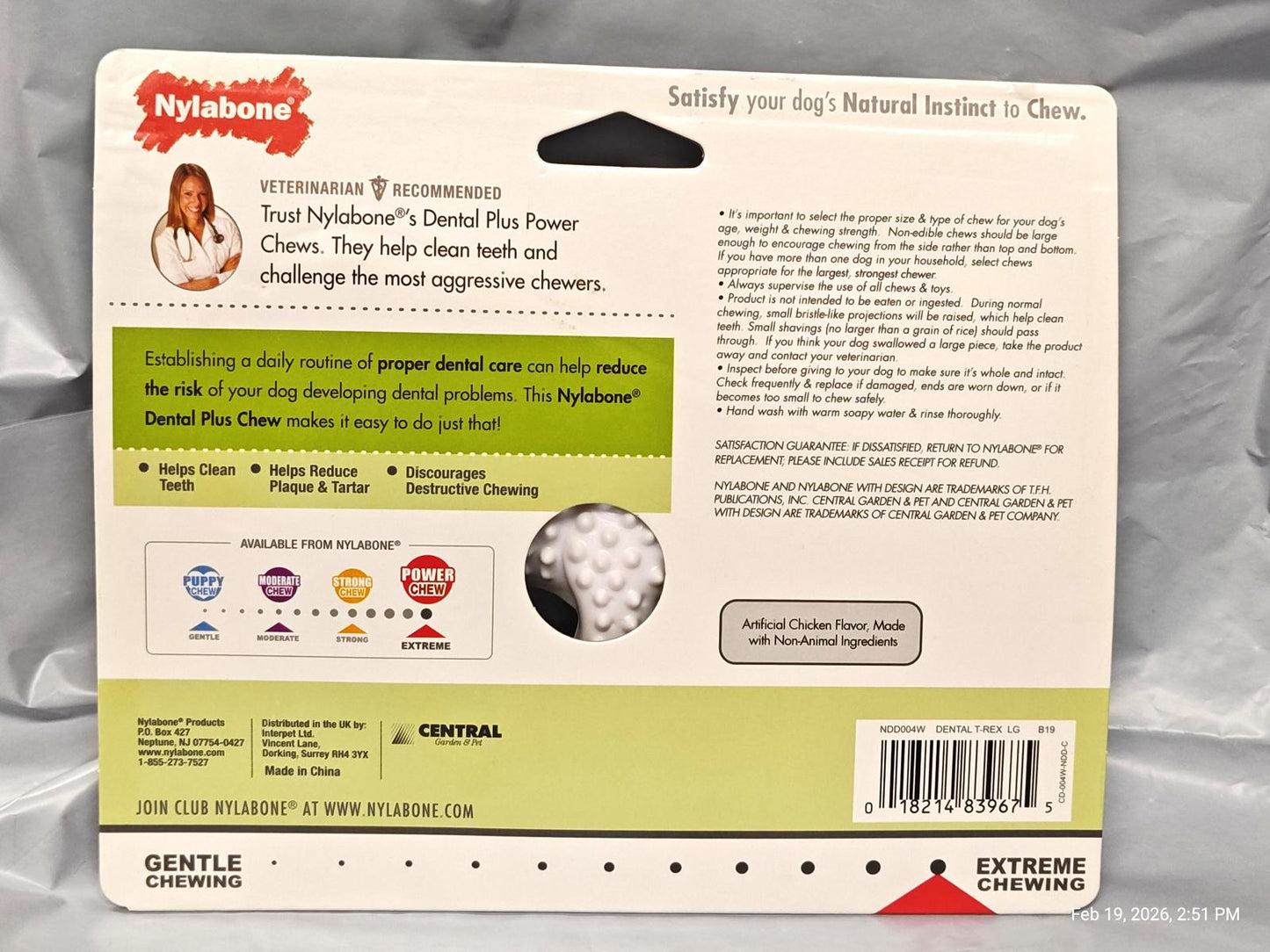 Nylabone Durable Dental Dinosaur Dog Chew Helps Fight Plaque & Tartar for Dogs