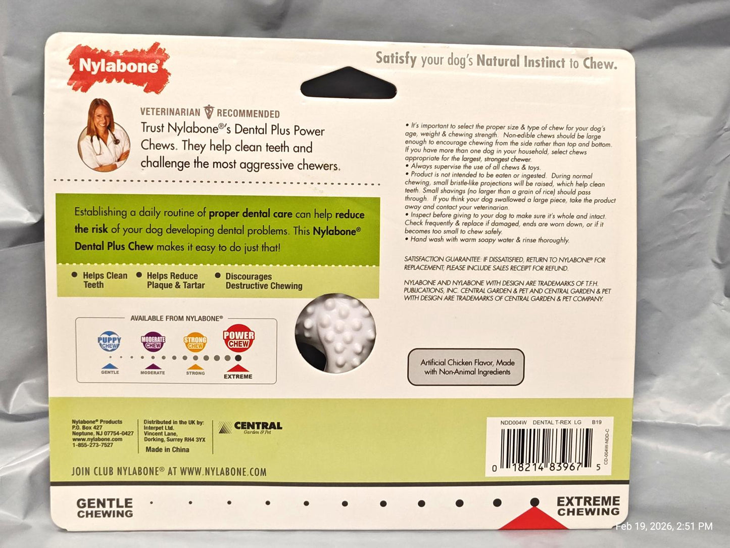 Nylabone Durable Dental Dinosaur Dog Chew Helps Fight Plaque & Tartar for Dogs