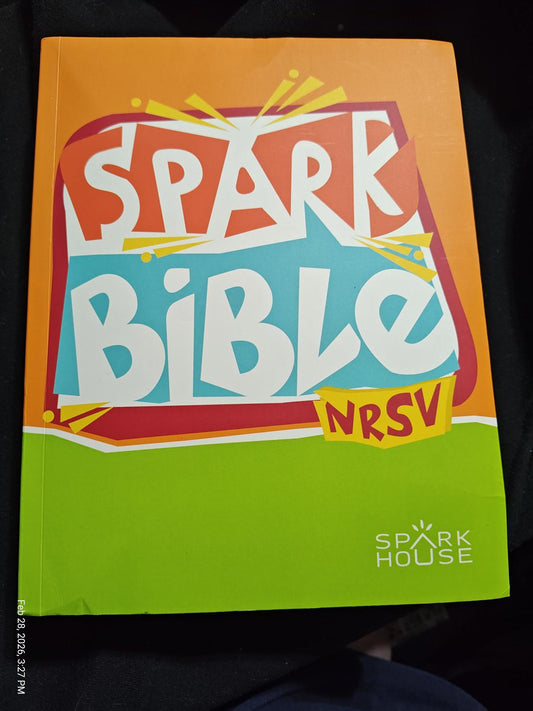 Spark Bible NRSV with colorful cover design featuring vibrant graphics.