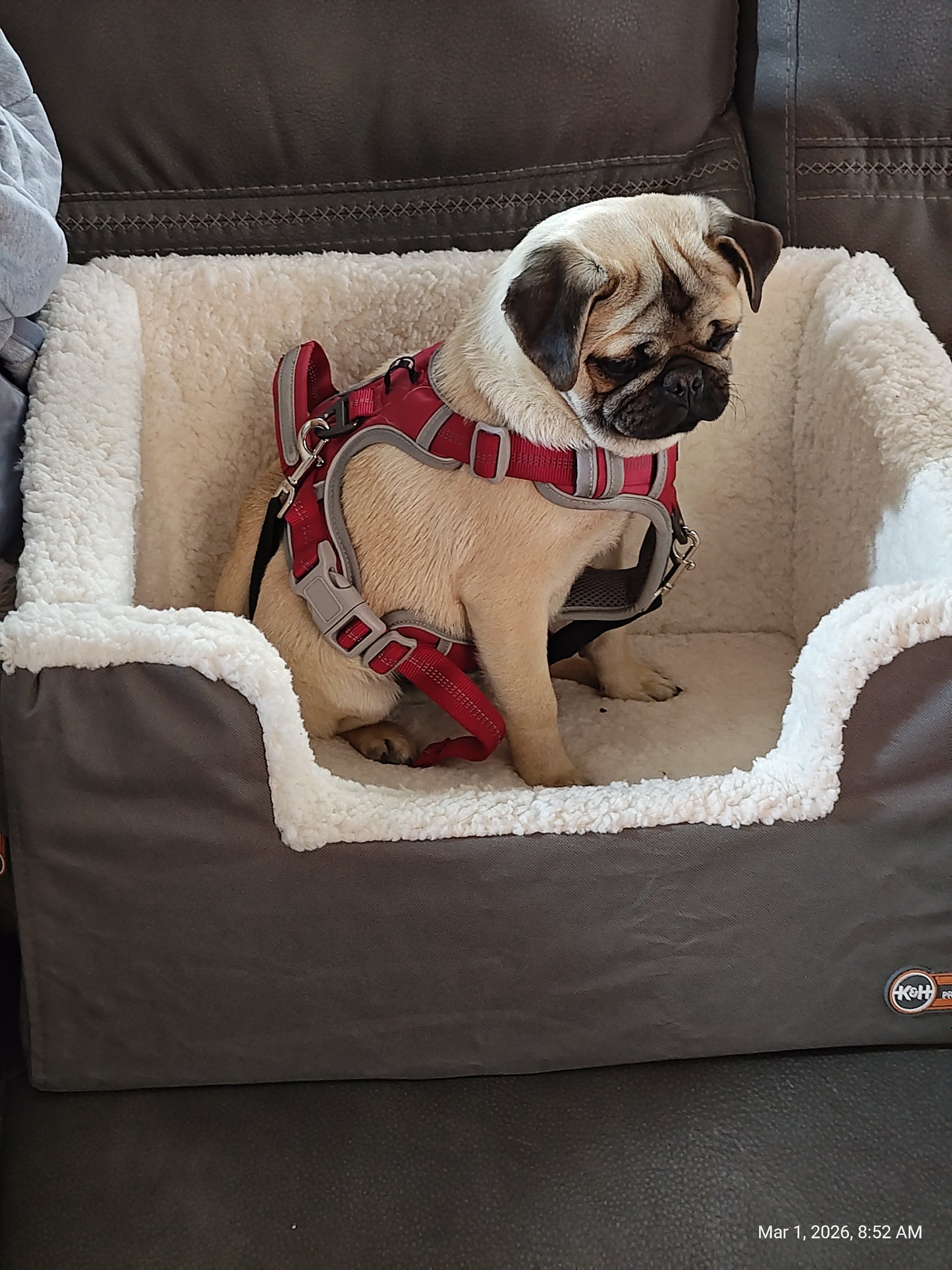K&H Rectangle Pet Booster Pet Dog Car Seat - Large Grey