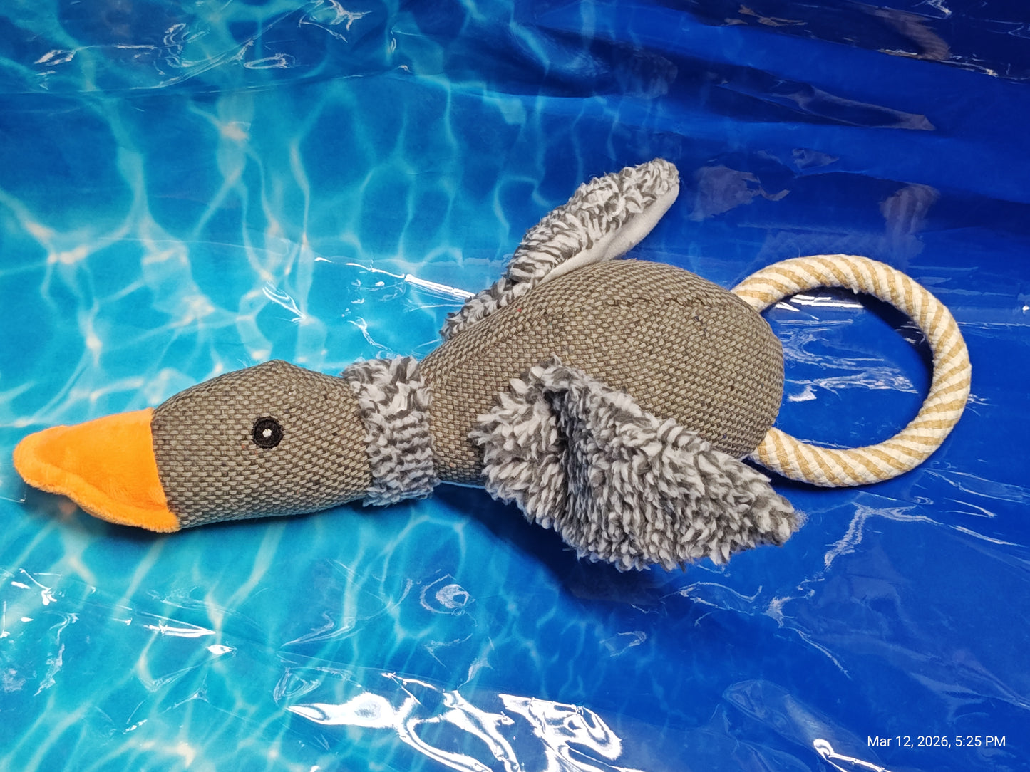 Geese Duck Chickens Oh My - Dog Toys by PNC Family FInds