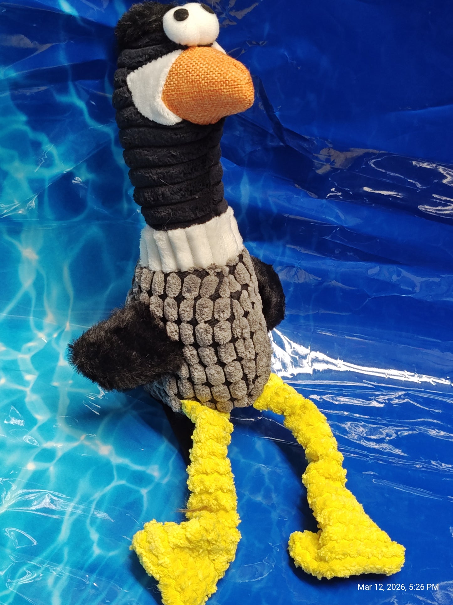 Geese Duck Chickens Oh My - Dog Toys by PNC Family FInds