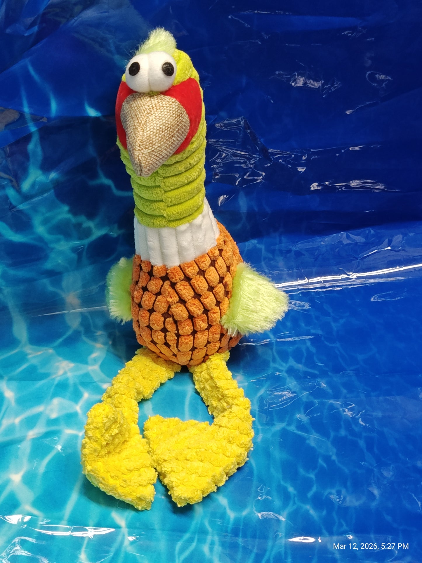 Geese Duck Chickens Oh My - Dog Toys by PNC Family FInds