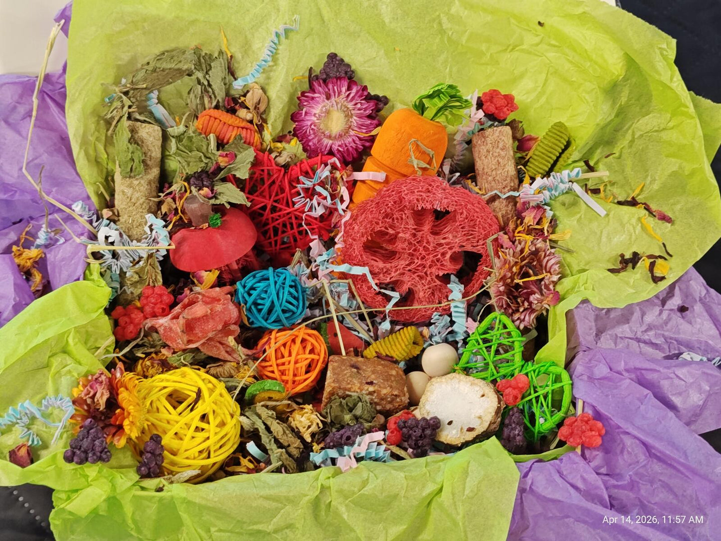 Play & Chew Fun  "No More Boredom" Box - Chinchillas, Guinea Pigs, Rabbits, Rats