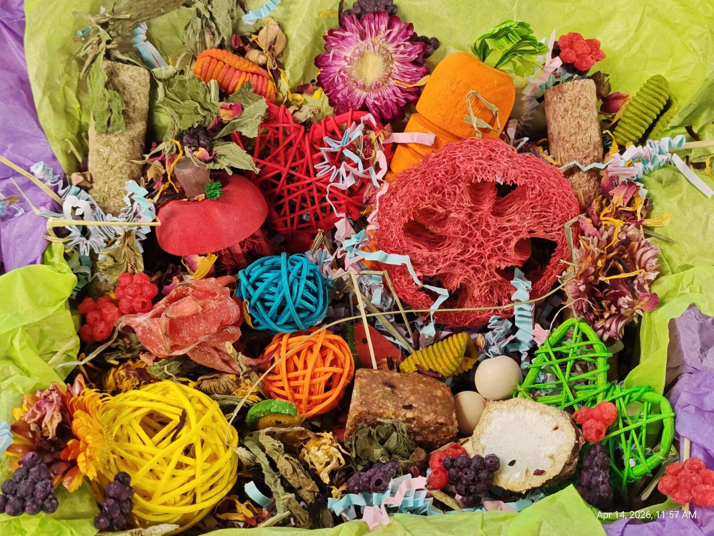 Play & Chew Fun  "No More Boredom" Box - Chinchillas, Guinea Pigs, Rabbits, Rats