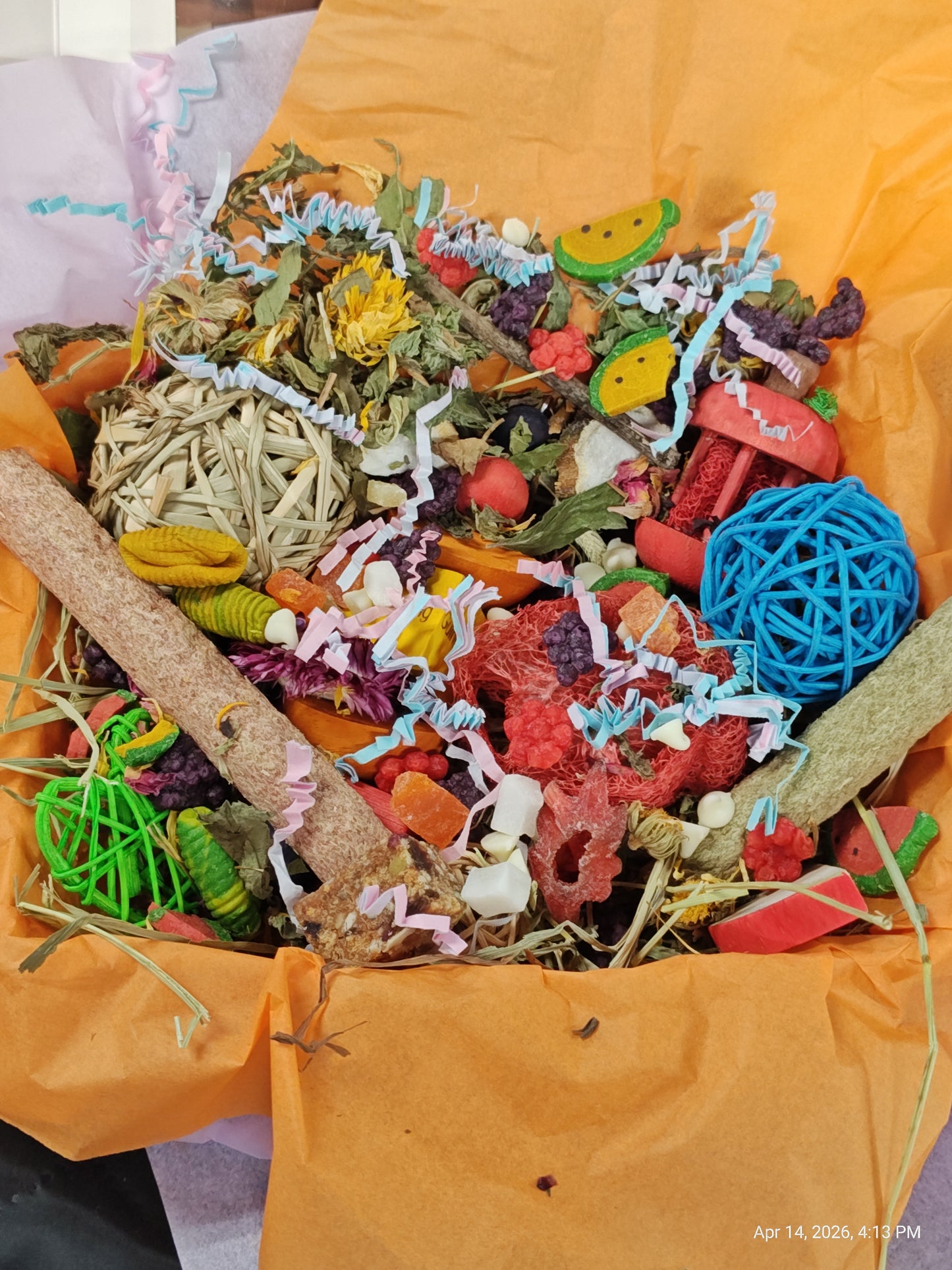 Ultimate Toy, Chew and Treat box for Guinea Pigs, Chinchillas, Rabbits & Rats