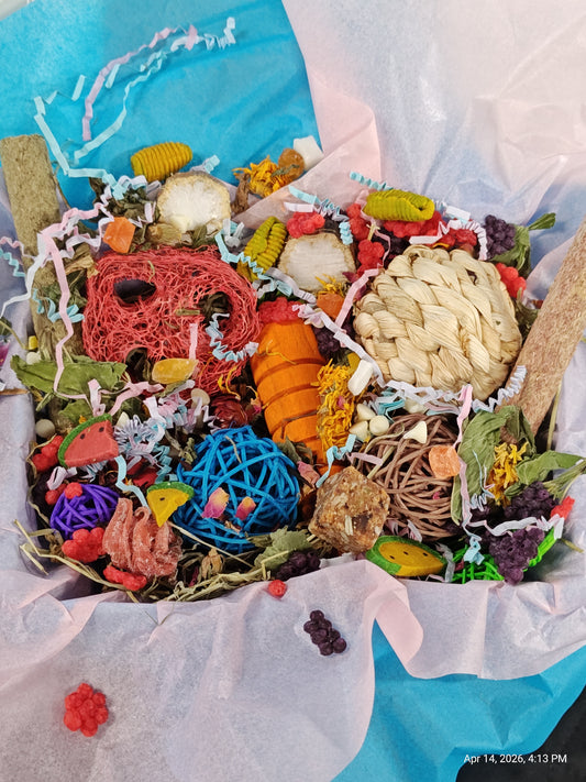 Ultimate Toy, Chew and Treat box for Guinea Pigs, Chinchillas, Rabbits & Rats