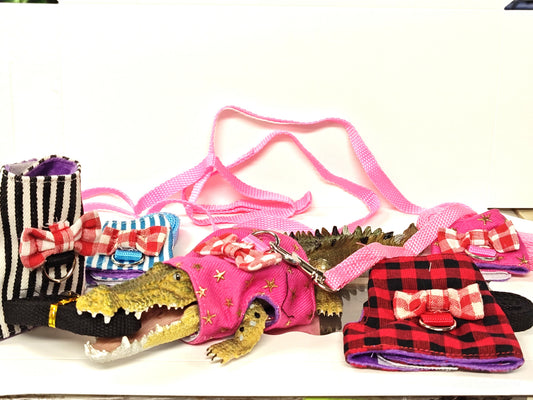 Harness & Leash for Mini Pets (Bearded Dragons, Rats, Hamsters, Etc.