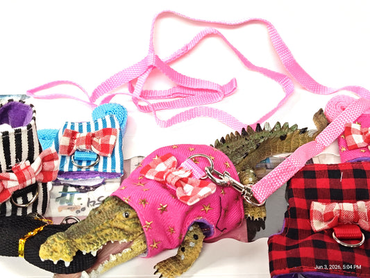 Harness & Leash for Mini Pets (Bearded Dragons, Rats, Hamsters, Etc.