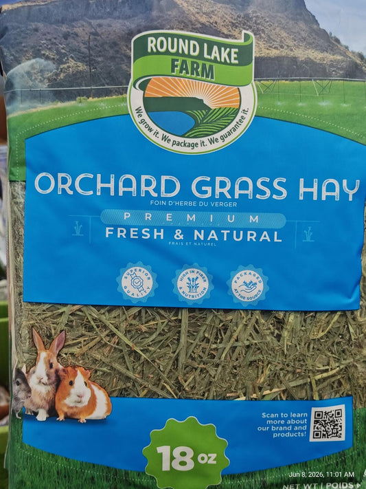 Orchard Grass Hay for Pets  18  oz Resealable Bag