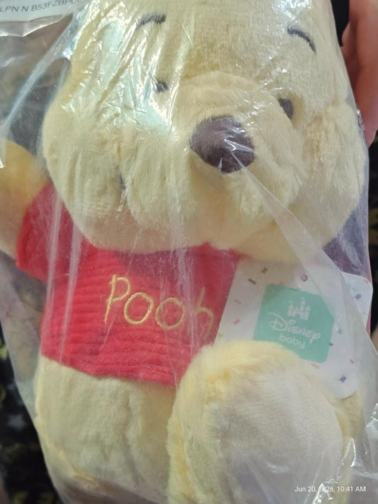 Disney Baby 10" Baby Winnie The Pooh Plush Bear Stuffed Animal Toy