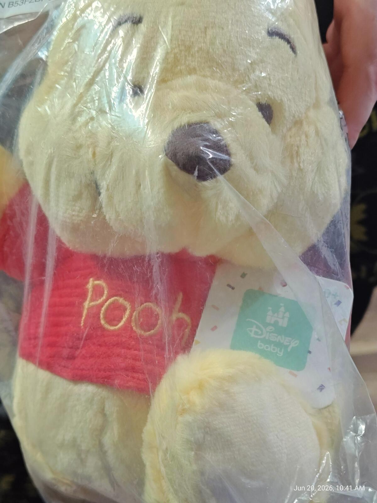 Disney Baby 10" Baby Winnie The Pooh Plush Bear Stuffed Animal Toy