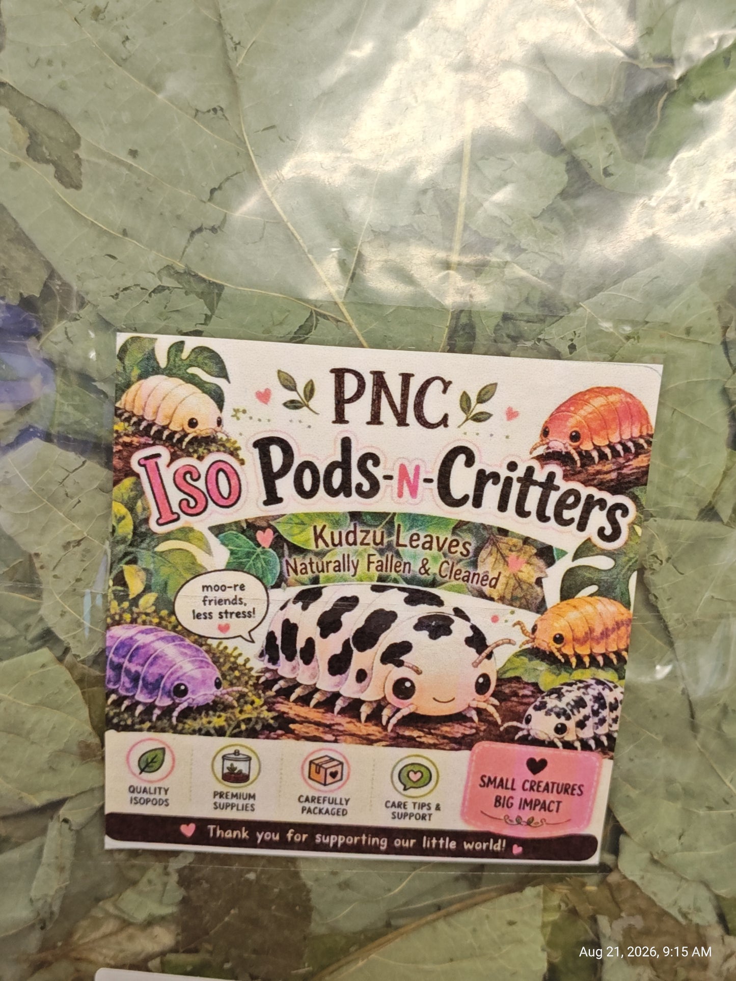Isopod Kudzo Leaves Naturally Collected ,Cleaned & Prepared