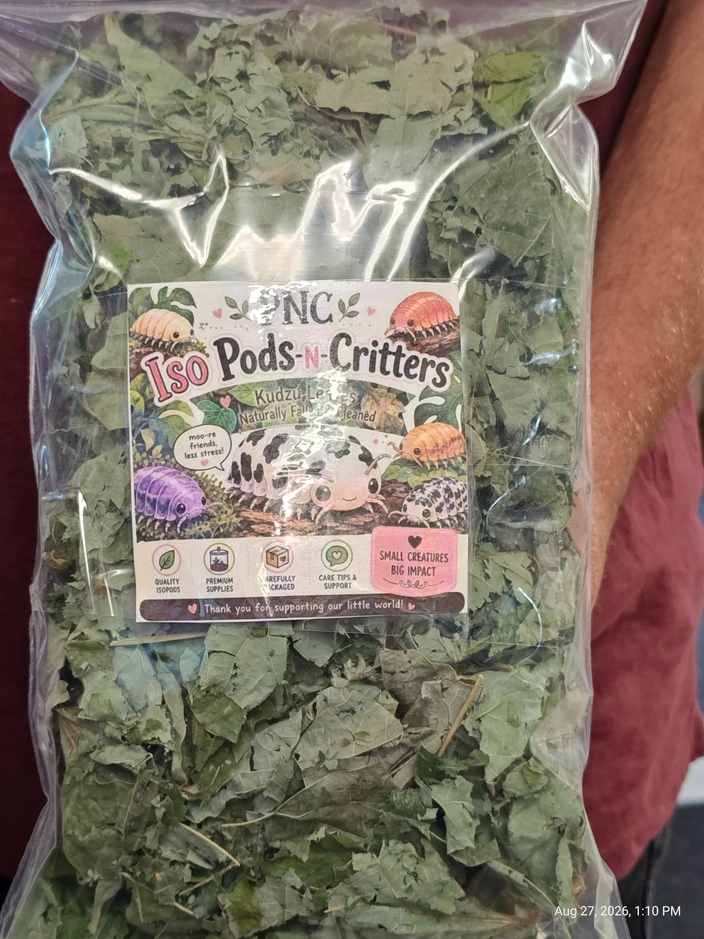 Isopod Kudzo Leaves Naturally Collected ,Cleaned & Prepared