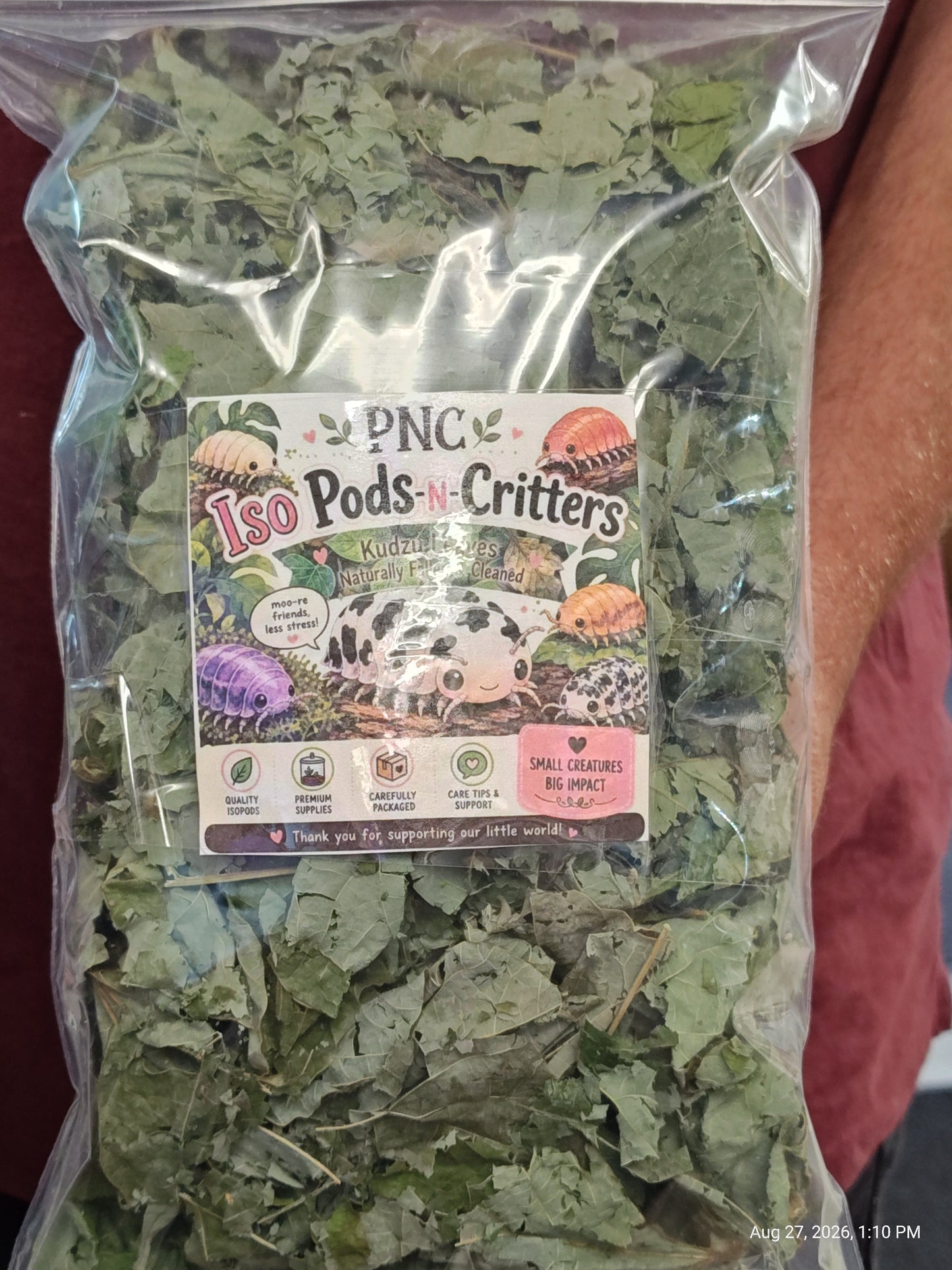 Isopod Kudzo Leaves Naturally Collected ,Cleaned & Prepared