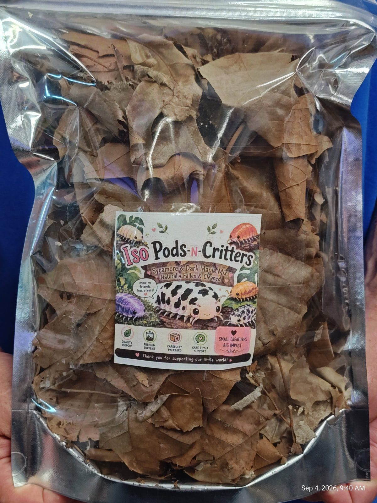 Isopod Sycamore & Dark Maple Leaf Mix Naturally Collected ,Cleaned & Prepared