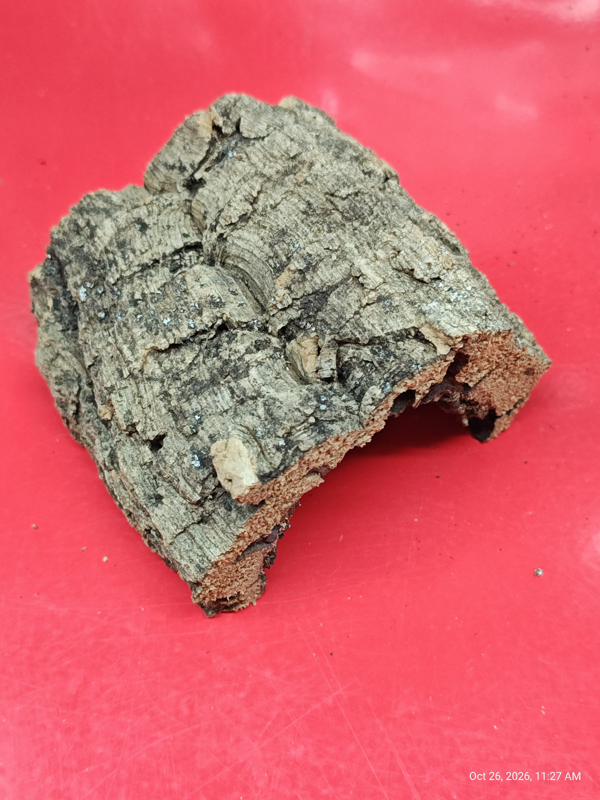 Cork Bark Hide for Reptiles – Nature's Cozy Cave by PNC Family FInds
