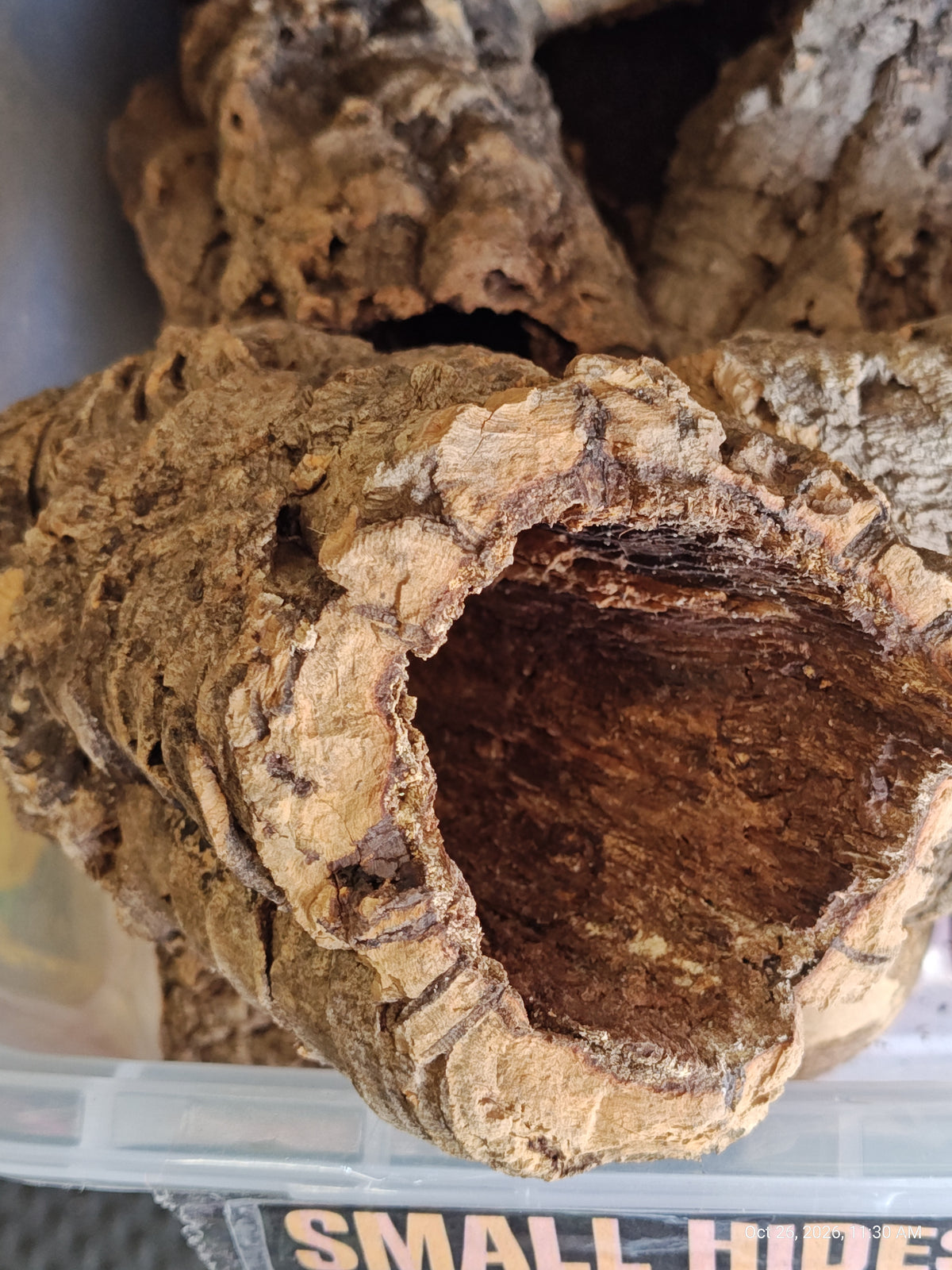 Cork Bark Hide for Reptiles – Nature's Cozy Cave by PNC Family FInds