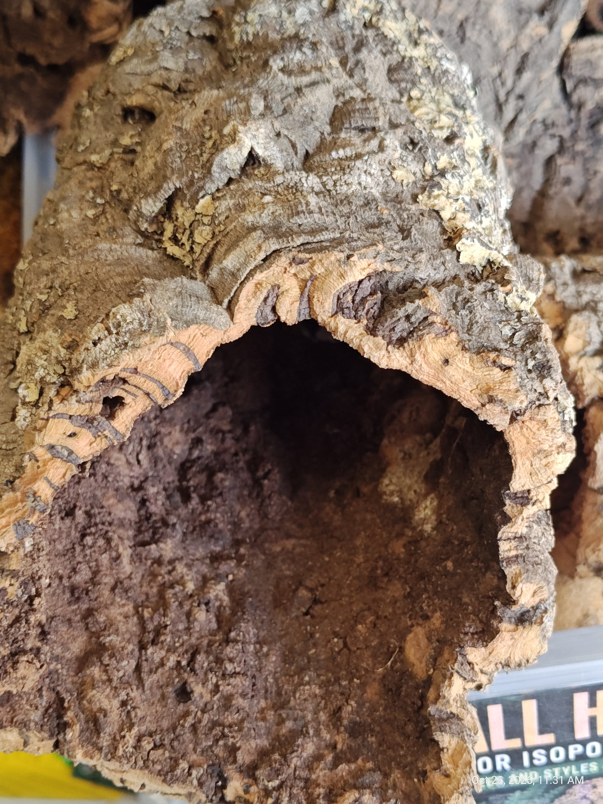 Cork Bark Hide for Reptiles – Nature's Cozy Cave by PNC Family FInds