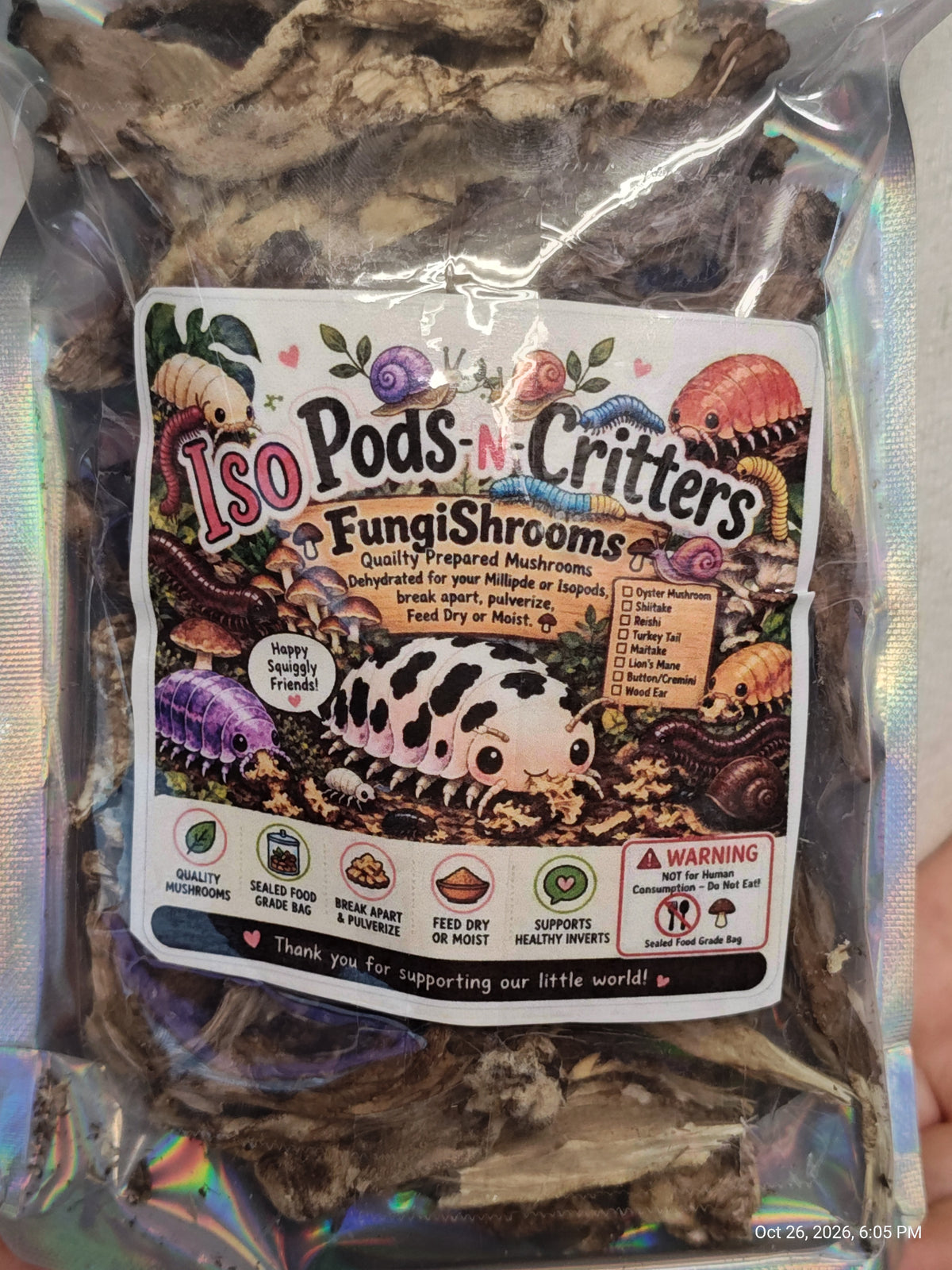 Isopod Invertebrate Fungi Strips – A Treat Your Pods Will LOVE! | PNC Family FInds