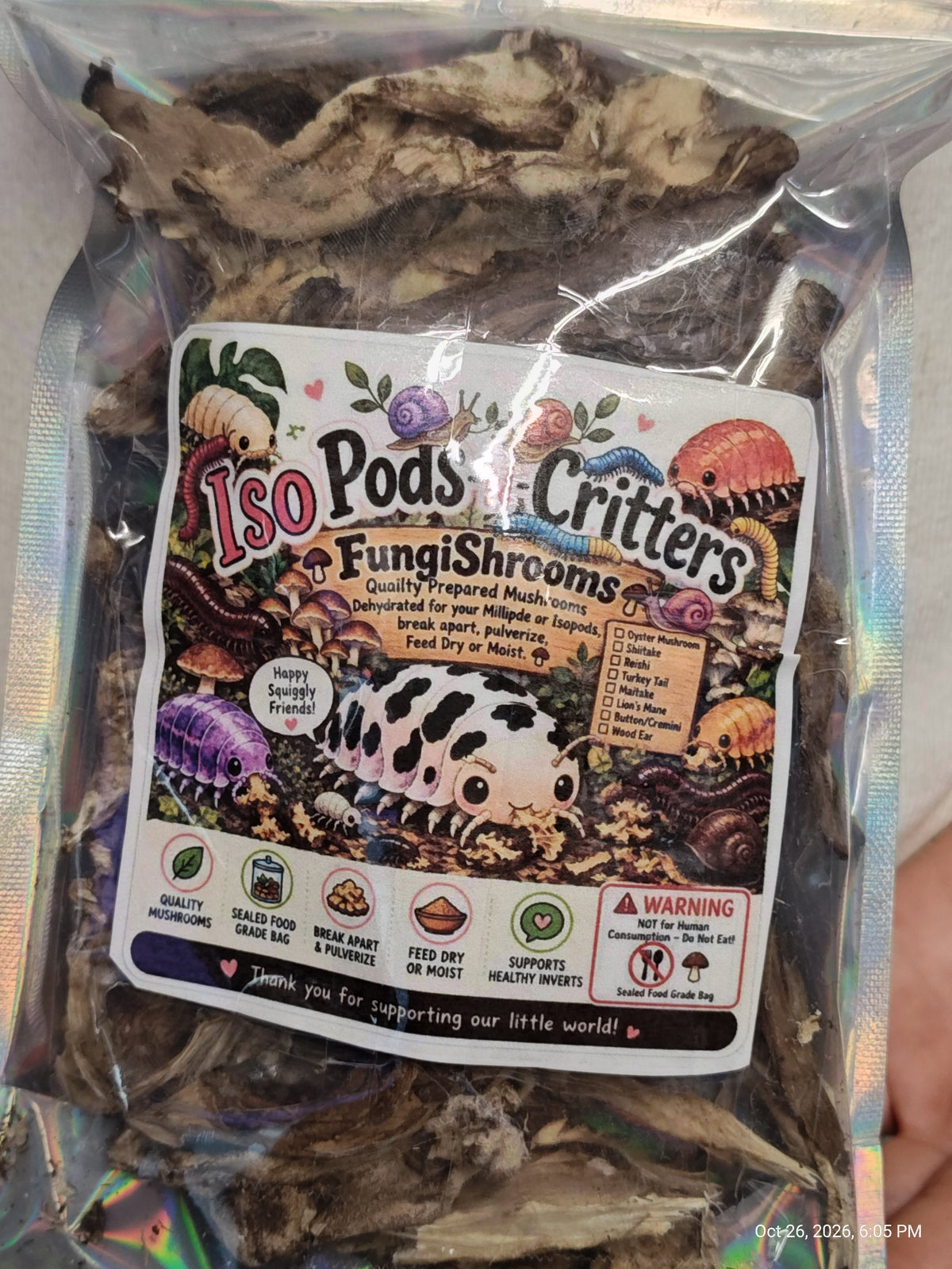 Isopod Invertebrate Fungi Strips – A Treat Your Pods Will LOVE! | PNC Family FInds