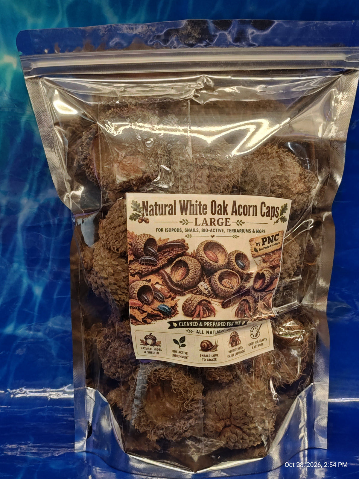 Isopods & Invertebrate Natural Mossy White Oak Acorn Caps – Nature's Treasure by PNC Family FInds