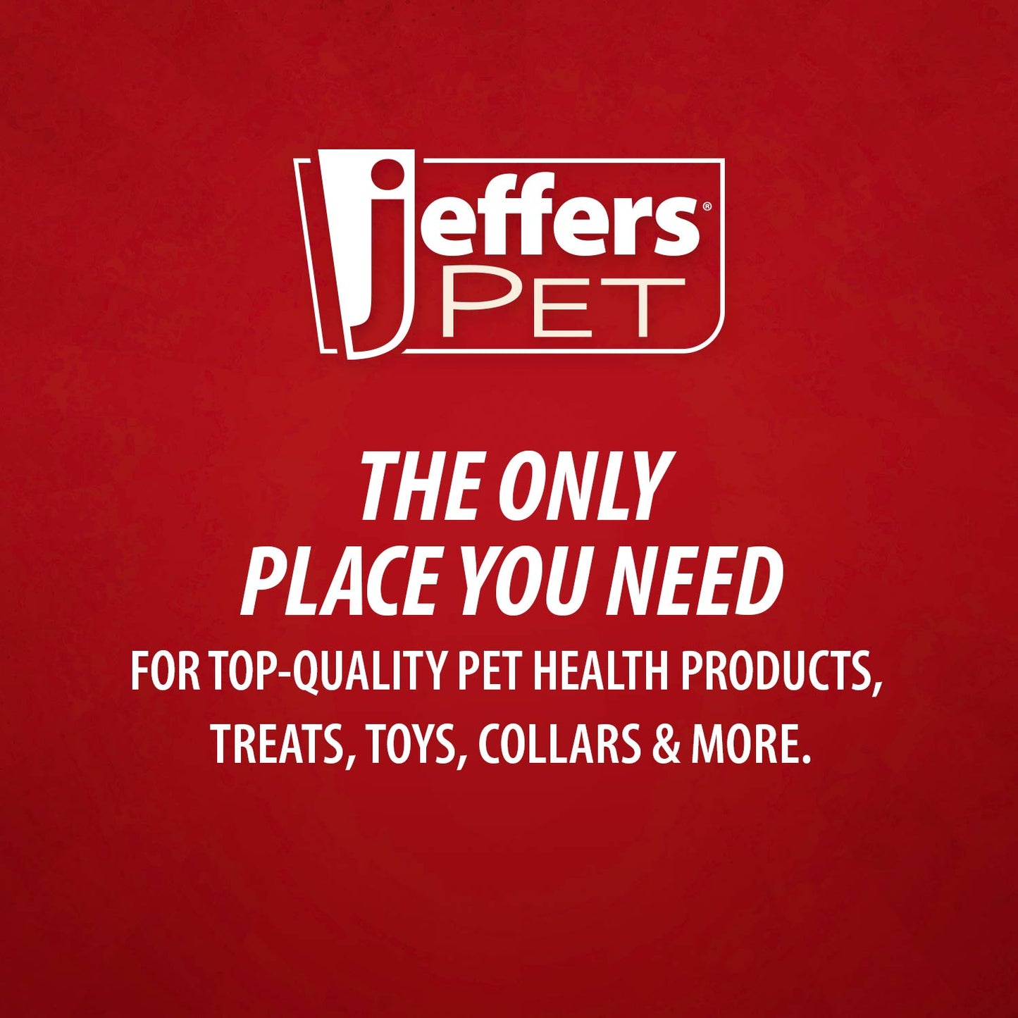 Jeffers Blue Bone Stamped Frisbee Natural Rubber 8 Inch Dog Toy for Fetching & Chewing